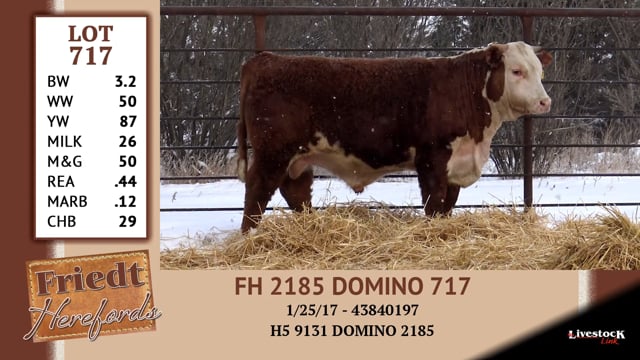 Lot #717 - FH 2185 DOMINO 717
