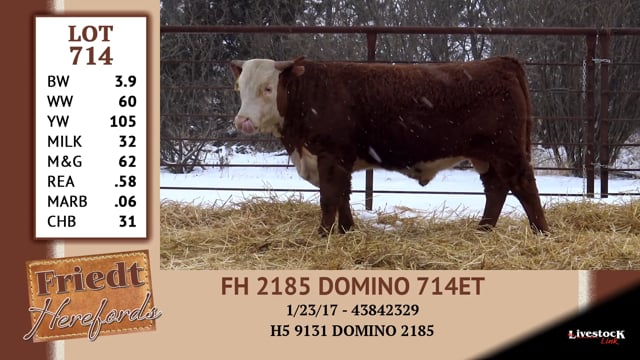 Lot #714 - FH 2185 DOMINO 714 ET
