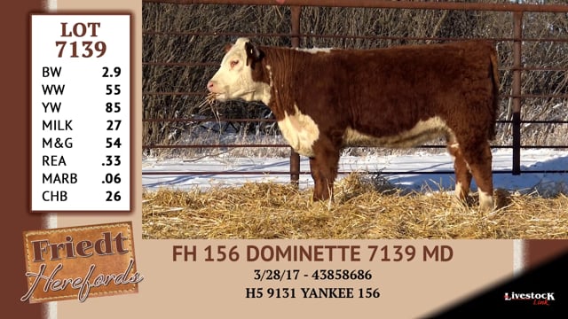 Lot #7139 - FH 156 DOMINETTE 7139 MD