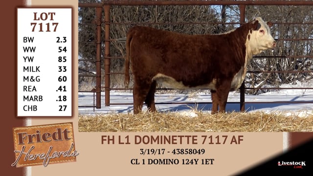 Lot #7117 - FH L1 DOMINETTE 7117 AF
