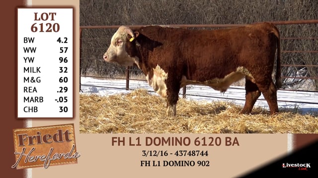 Lot #6120 - * OUT * FH L1 DOMINO 6120 BA