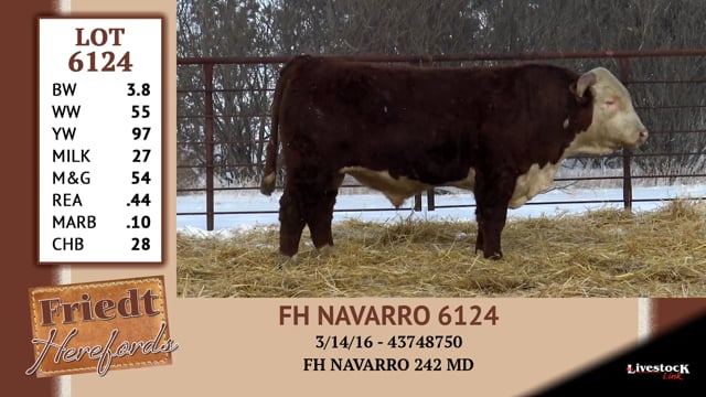 Lot #6124 - FH NAVARRO 6124
