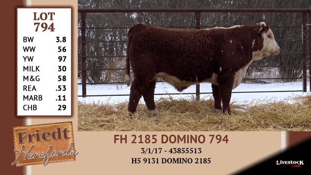 Lot #794 - FH 2185 DOMINO 794