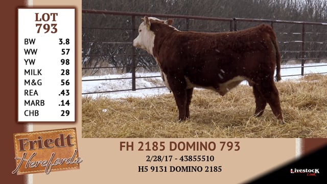 Lot #793 - * OUT * FH 2185 DOMINO 793