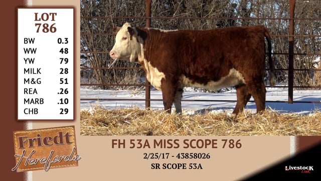 Lot #786 - FH 53A MISS SCOPE 786
