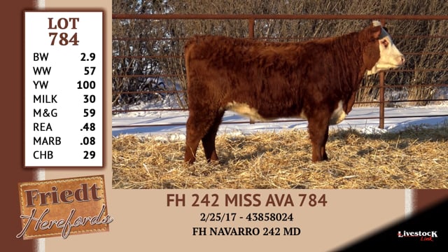 Lot #784 - FH 242 MISS AVA 784
