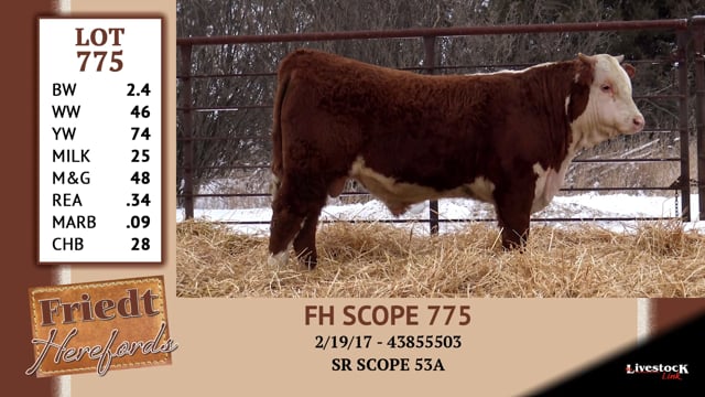 Lot #775 - FH SCOPE 775