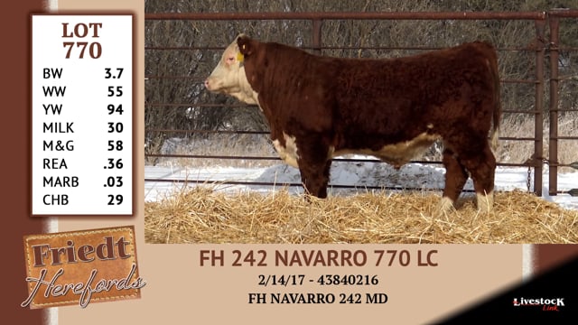 Lot #770 - FH 242 NAVARRO 770 LC