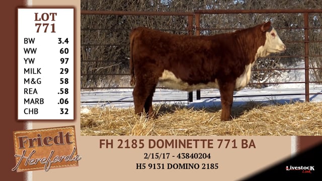 Lot #771 - FH 2185 DOMINETTE 771 BA