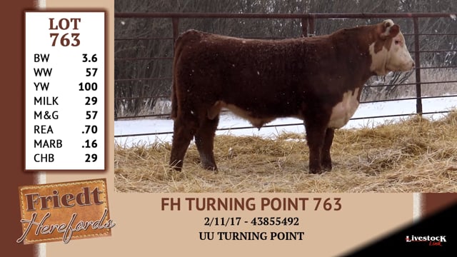 Lot #763 - FH TURNING POINT 763