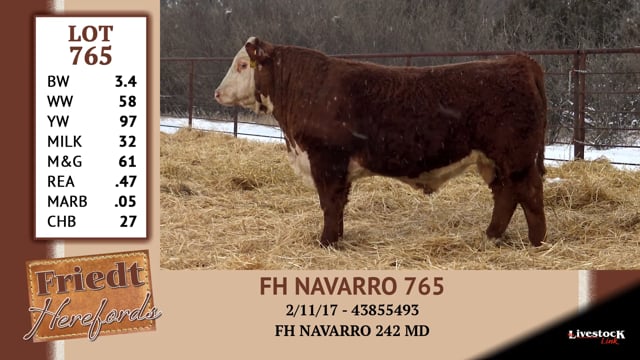 Lot #765 - FH NAVARRO 765