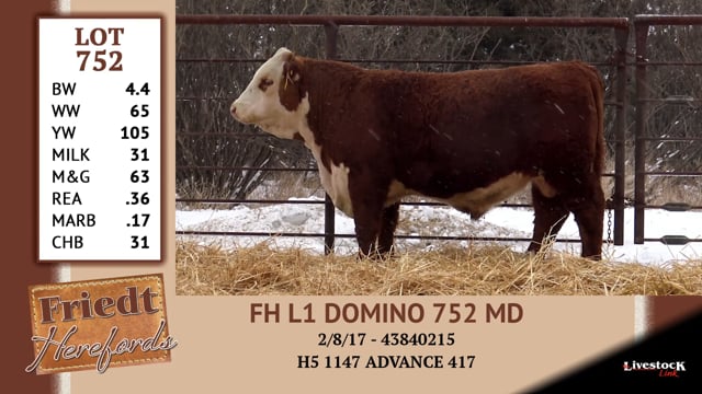 Lot #752 - FH L1 DOMINO 752 MD