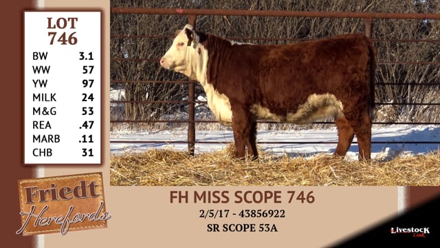 Lot #746 - FH MISS SCOPE 746