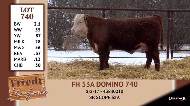 Lot #740 - FH 53A DOMINO 740