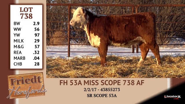 Lot #738 - FH 53A MISS SCOPE 738 AF