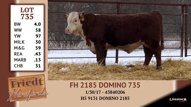 Lot #735 - FH 2185 DOMINO 735