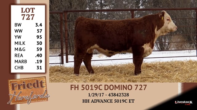 Lot #727 - FH 5019C DOMINO 727