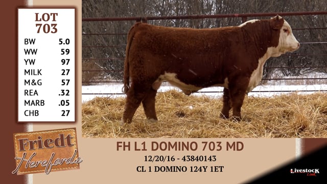 Lot #703 - FH L1 DOMINO 703 MD