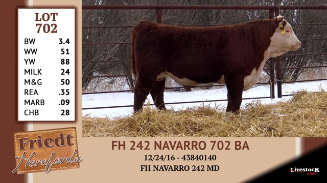 Lot #702 - FH 242 NAVARRO 702 BA