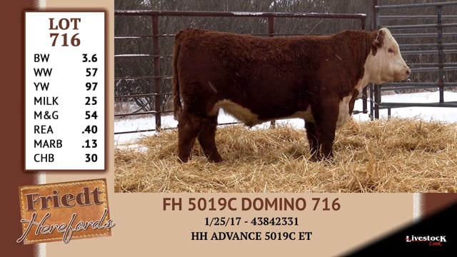 Lot #716 - FH 5019C DOMINO 716
