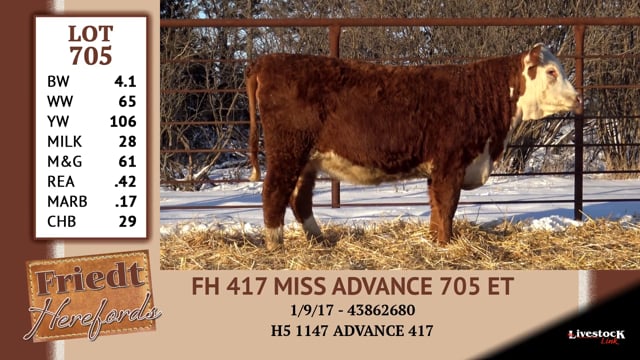 Lot #705 - FH 417 MISS ADVANCE 705 ET