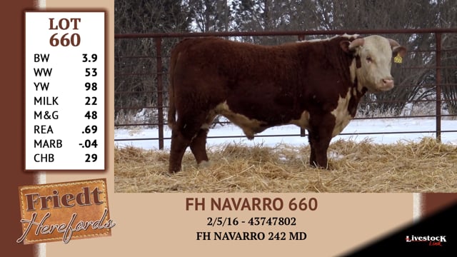 Lot #660 - FH NAVARRO 660