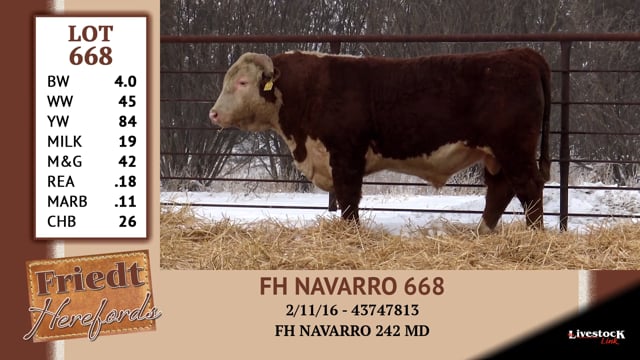 Lot #668 - FH NAVARRO 668