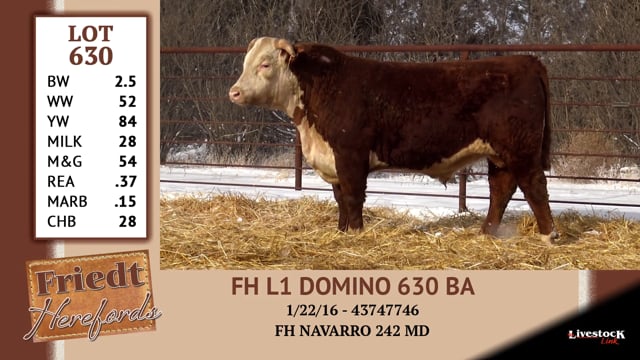 Lot #630 - FH L1 DOMINO 630 BA