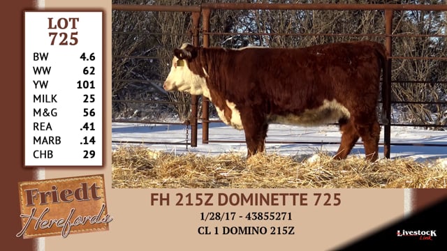 Lot #725 - FH 215Z DOMINETTE 725