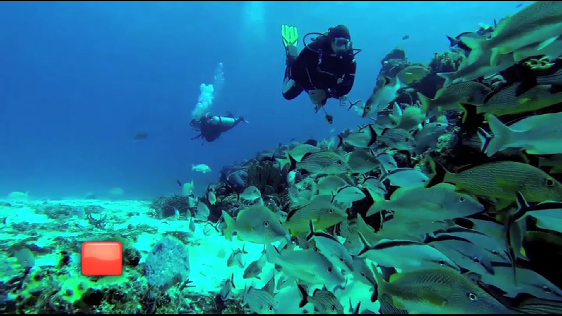 CORAL PRINCESS PROMO