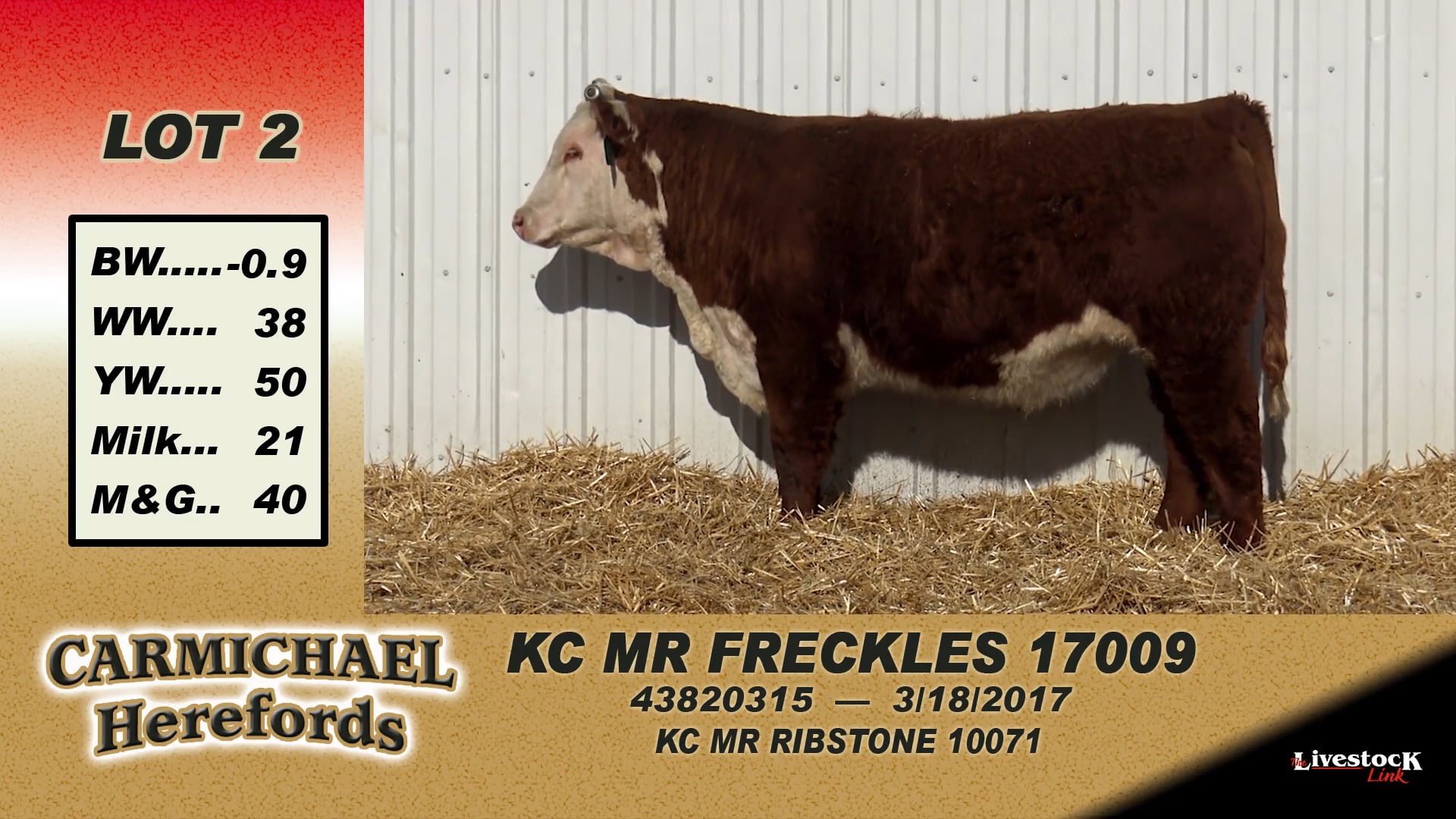 2 - Carmichael Herefords
