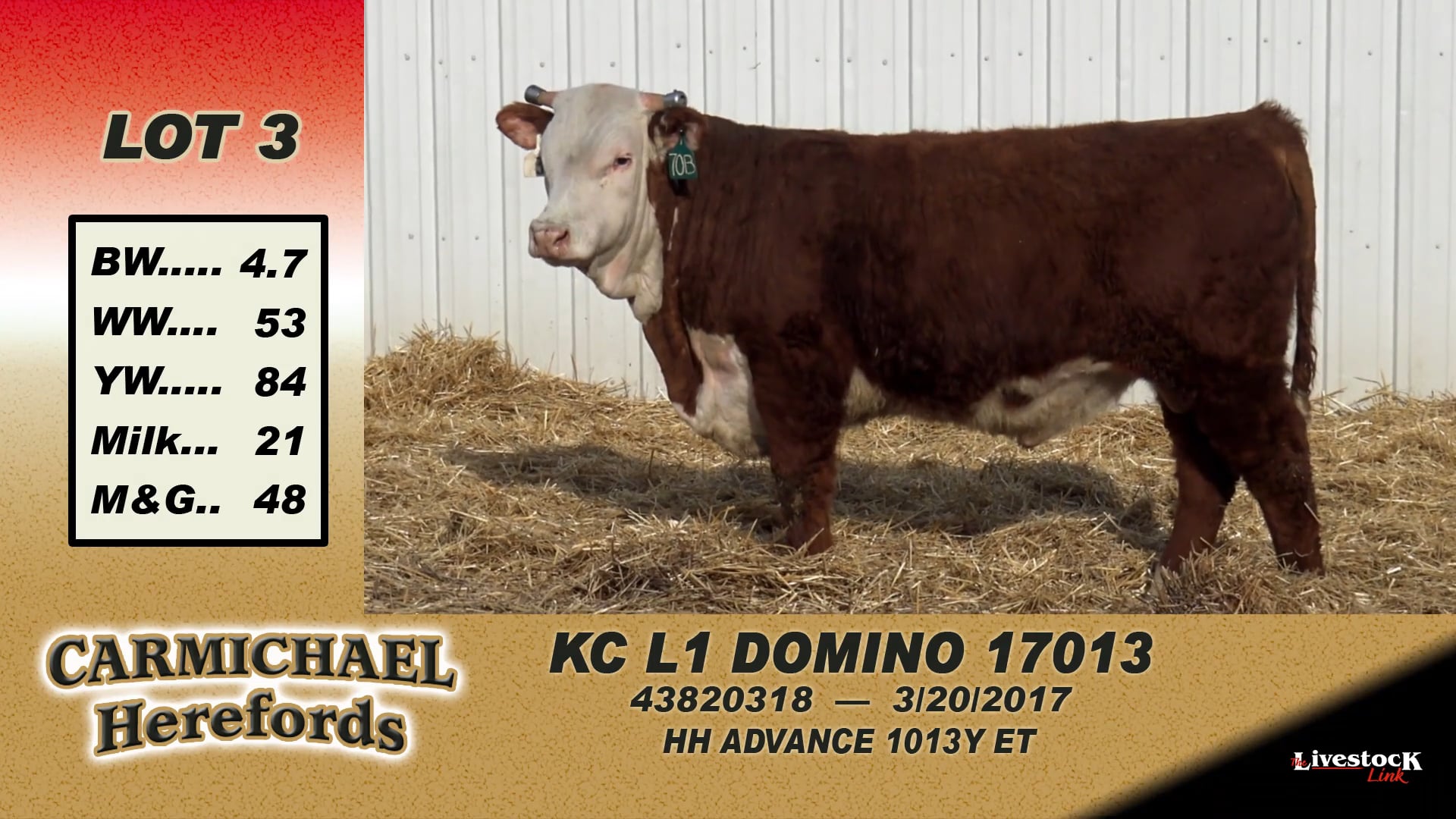 3 - Carmichael Herefords