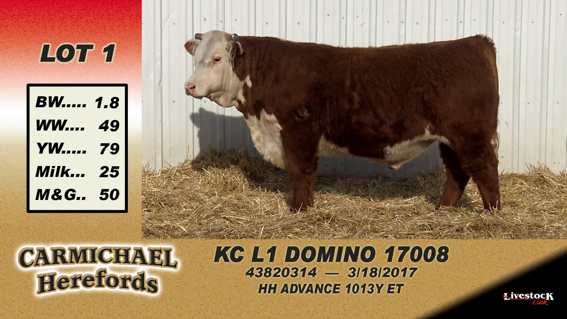 1 - Carmichael Herefords