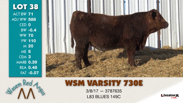 Lot #38 - WSM VARSITY 730E