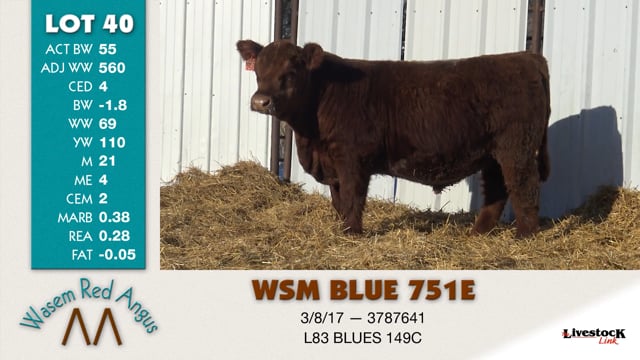 Lot #40 - WSM BLUE 751E