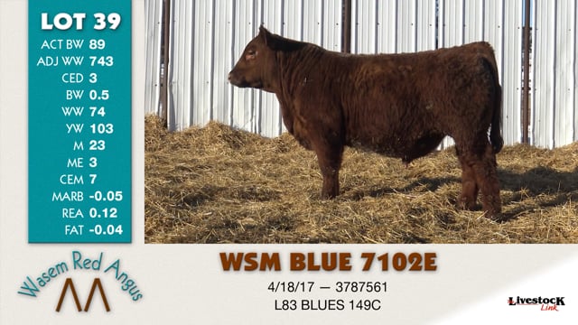 Lot #39 - WSM BLUE 7102E