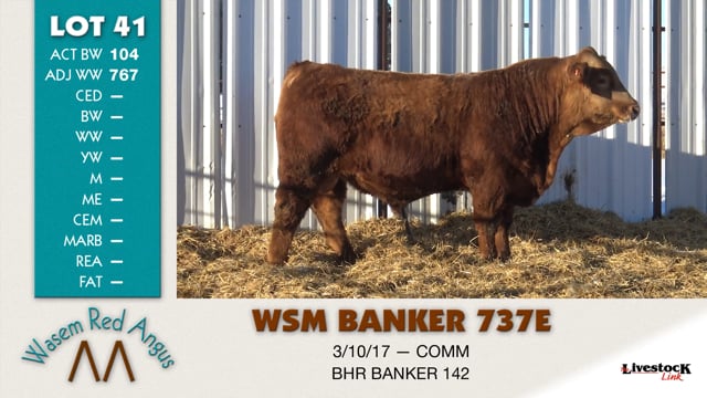 Lot #41 - WSM BANKER 737E