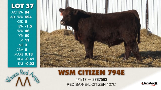 Lot #37 - WSM CITIZEN 794E