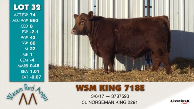 Lot #32 - WSM KING 718E