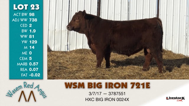 Lot #23 - WSM BIG IRON 721E