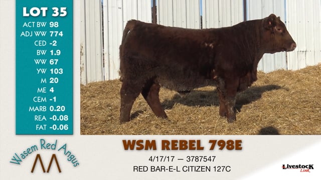 Lot #35 - *OUT* WSM REBEL 798E *OUT*