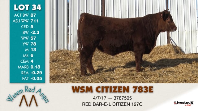 Lot #34 - WSM CITIZEN 783E