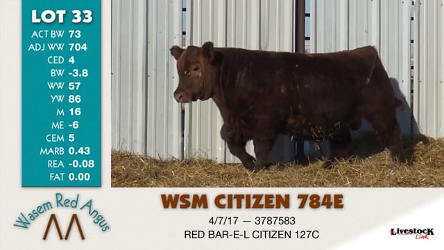 Lot #33 - WSM CITIZEN 784E