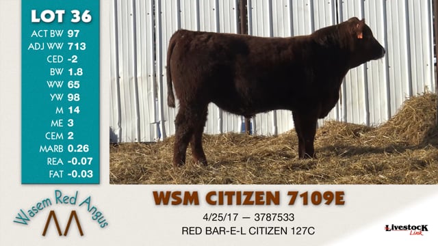 Lot #36 - WSM CITIZEN 7109E