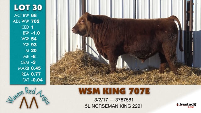 Lot #30 - WSM KING 707E