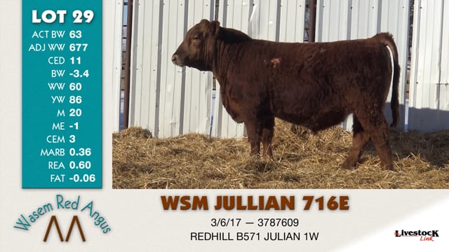 Lot #29 - WSM JULLIAN 716E