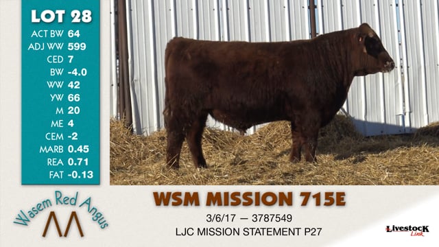 Lot #28 - WSM MISSION 715E