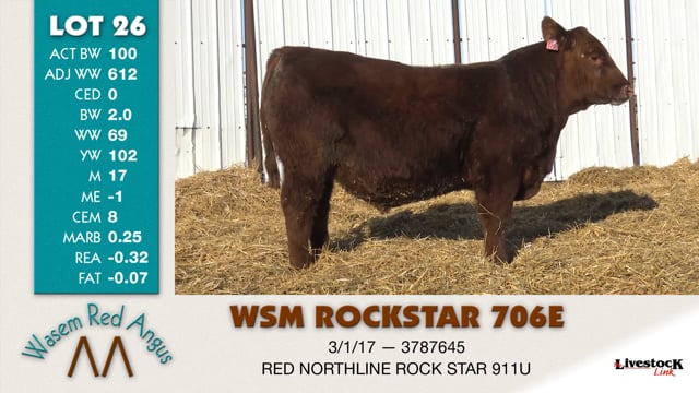Lot #26 - WSM ROCKSTAR 706E