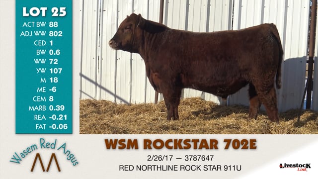 Lot #25 - WSM ROCKSTAR 702E