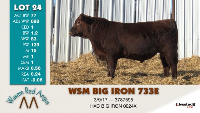 Lot #24 - WSM BIG IRON 733E